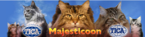 MajestiCoon Maine Coon Cattery logo by Florida Maine Coons and MajestiCoon.com